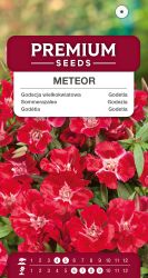 Godetia Meteor Seeds
